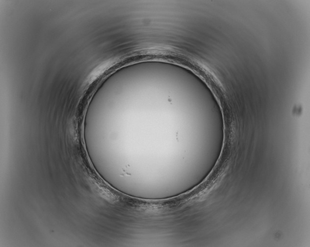 X0000090970970200708161832