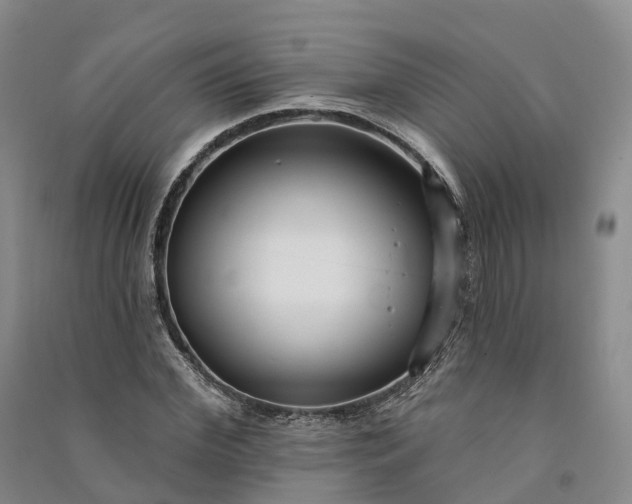 X0000090970972200708161832