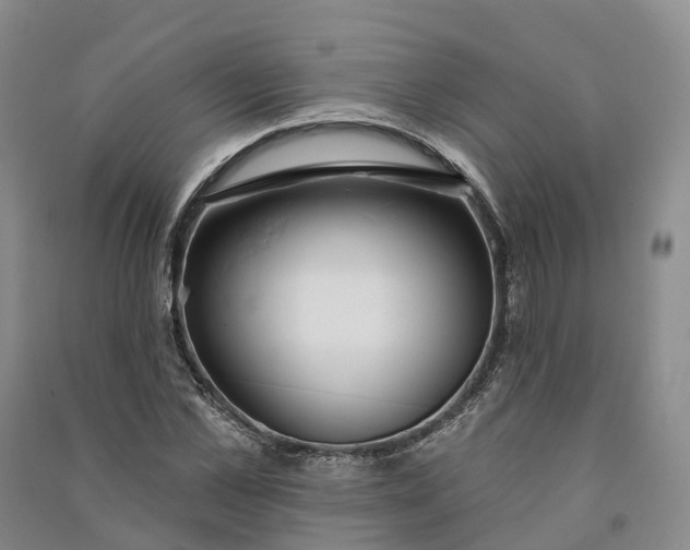 X0000090970973200708161832