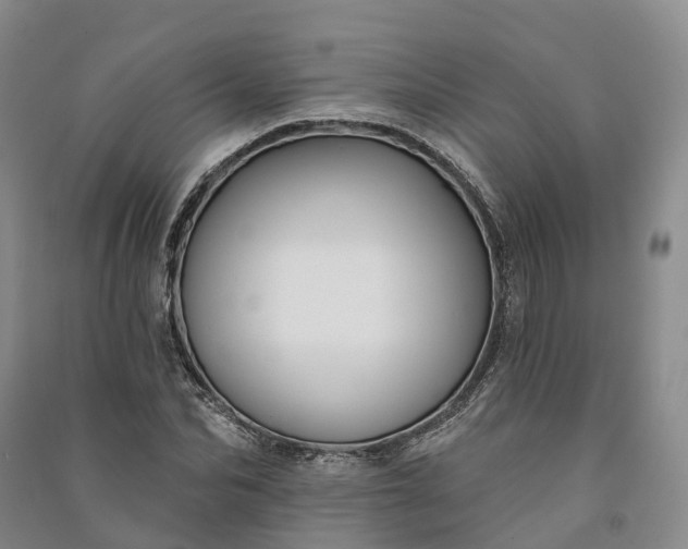 X0000090970974200708161832