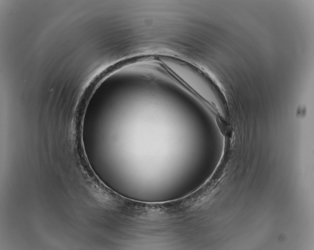 X0000090970975200708161832