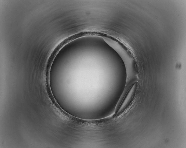 X0000090970976200708161832