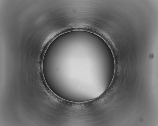 X0000090970978200708161832