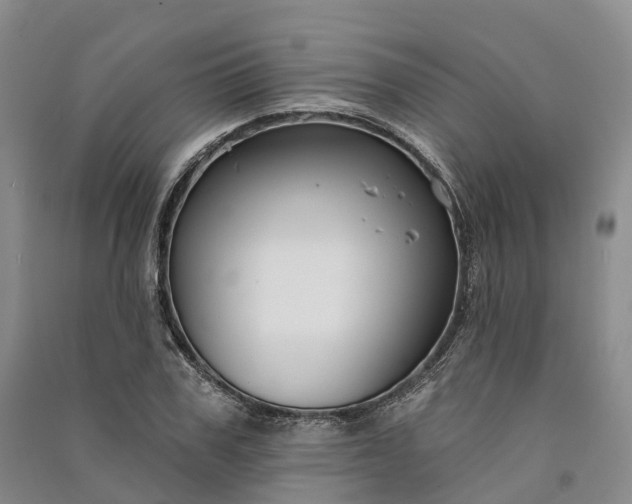 X0000090970979200708161832