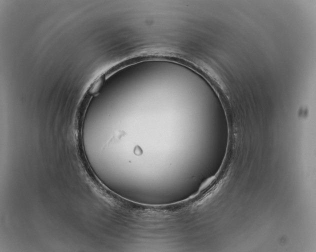 X0000090970981200708161832