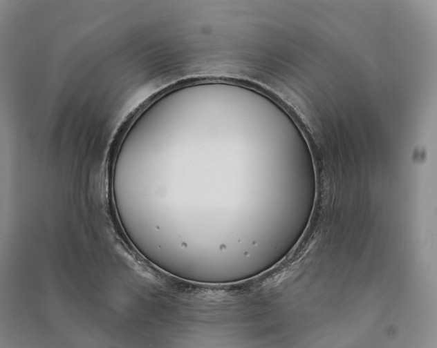 X0000090970982200708161832