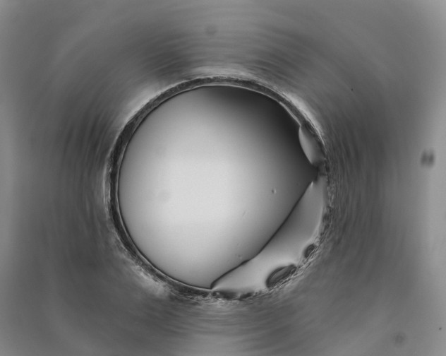 X0000090970983200708161832