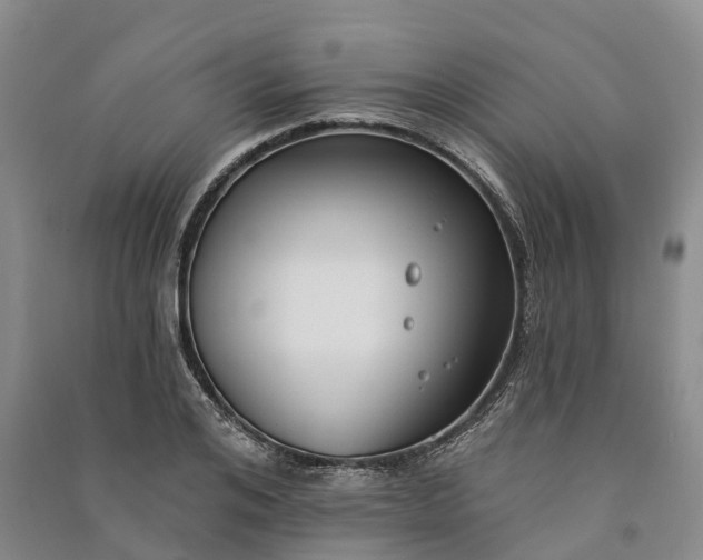 X0000090970984200708161832