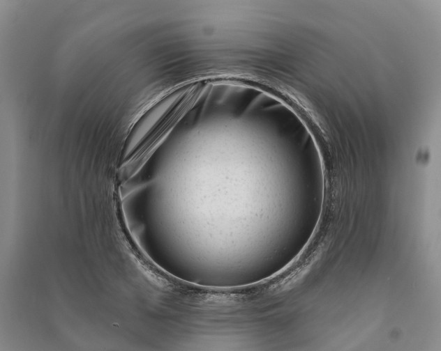 X0000090970985200708161832