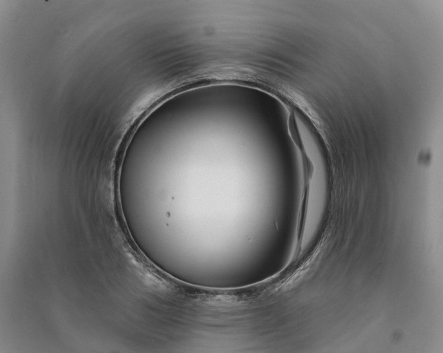 X0000090970986200708161832