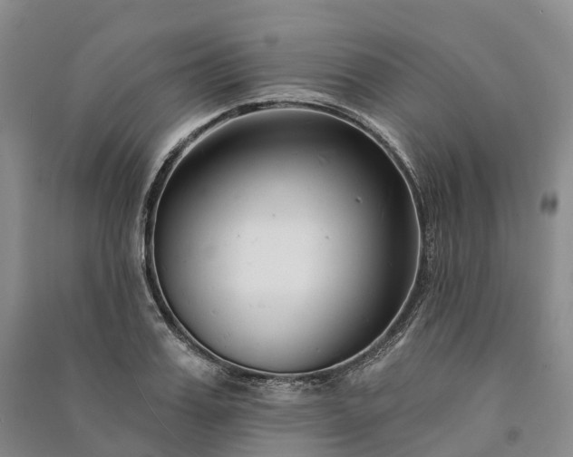 X0000090970987200708161832