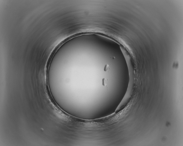 X0000090970988200708161832