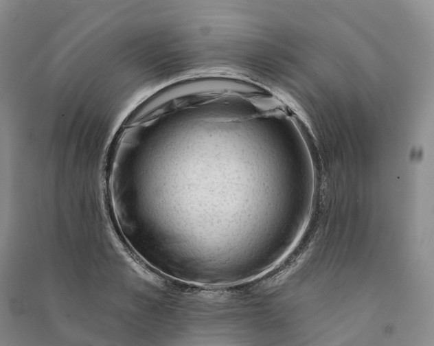 X0000090970989200708161832