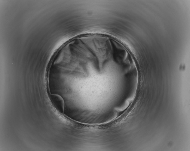 X0000090970990200708161832