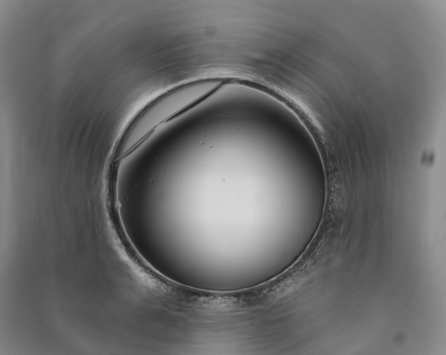 X0000090970991200708161832