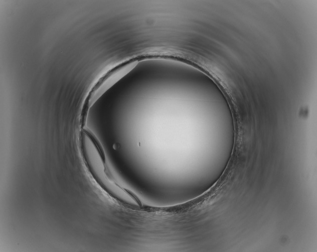 X0000090970992200708161832