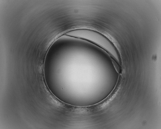 X0000090970993200708161832