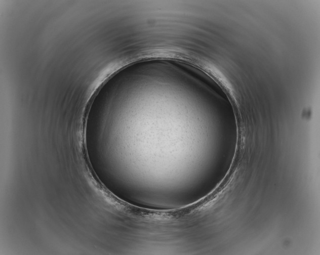 X0000090970994200708161832