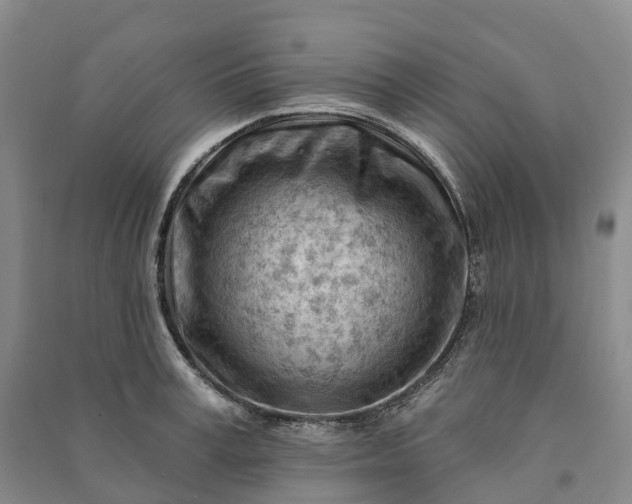 X0000090970995200708161832