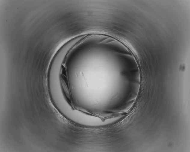 X0000090970996200708161832