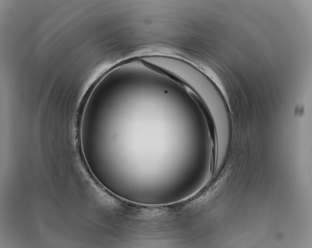 X0000090970997200708161832