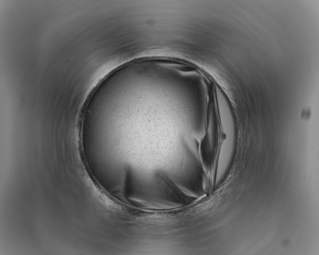 X0000090970998200708161832