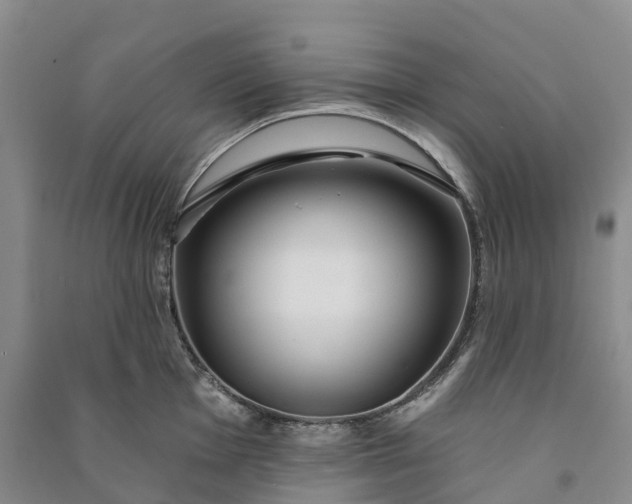 X0000090971001200708161832