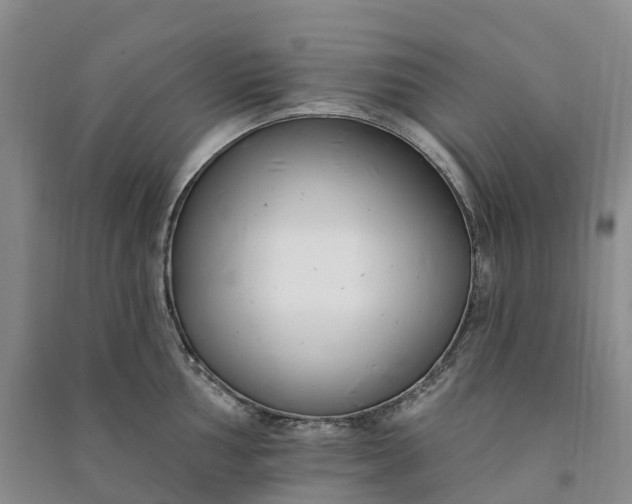 X0000090971002200708161832