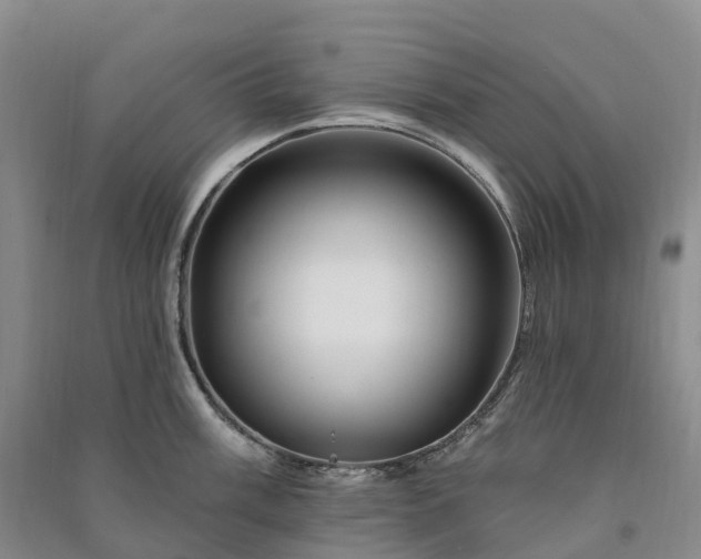 X0000090971003200708161832