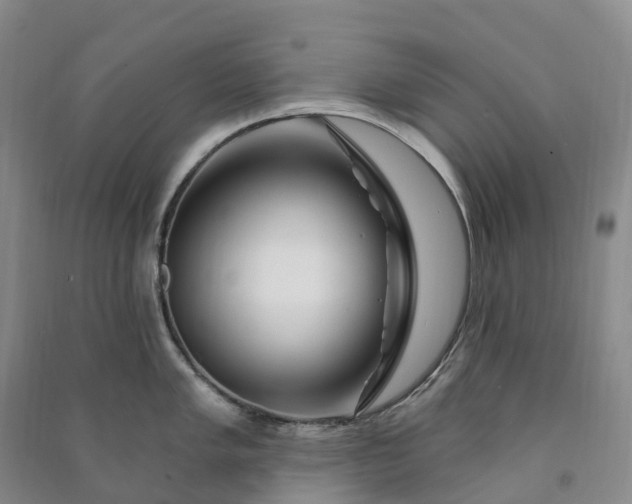 X0000090971005200708161832