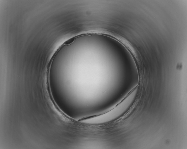 X0000090971006200708161832