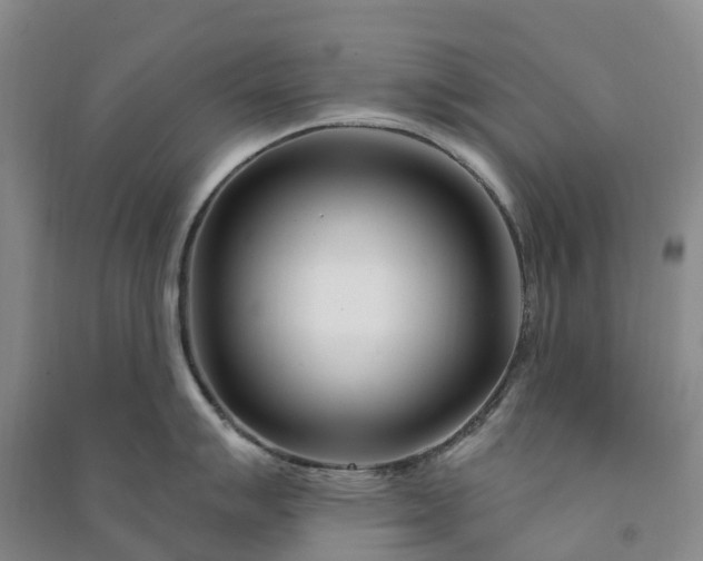 X0000090971007200708161832