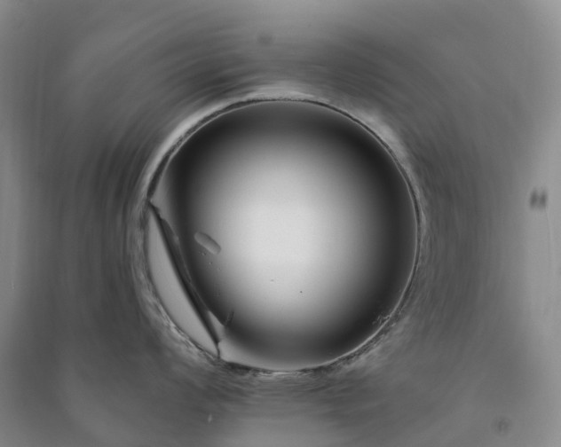 X0000090971008200708161832