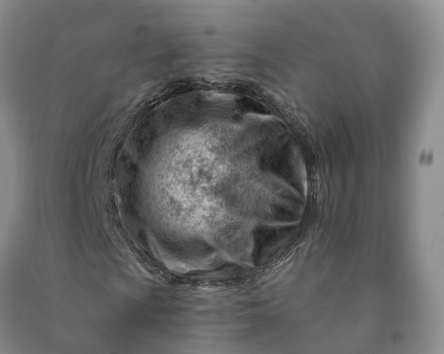 X0000090971009200708161831