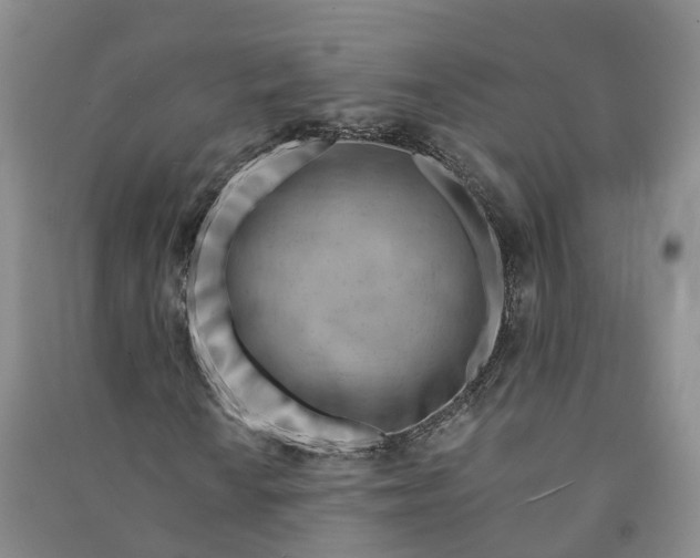 X0000090971010200708161831