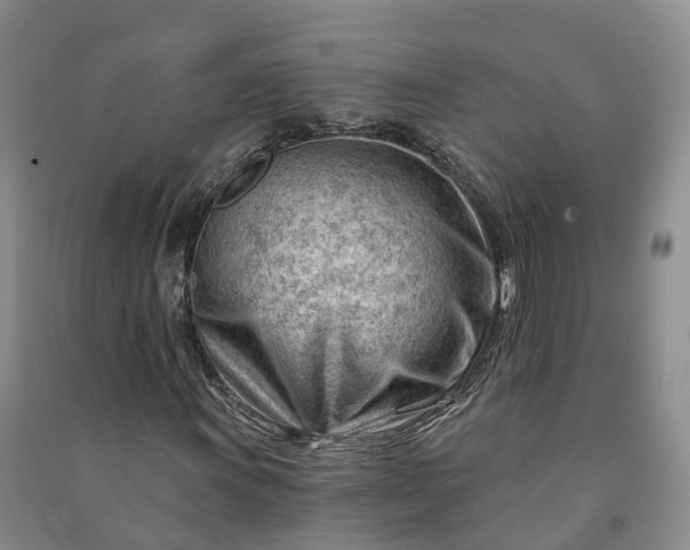 X0000090971011200708161831