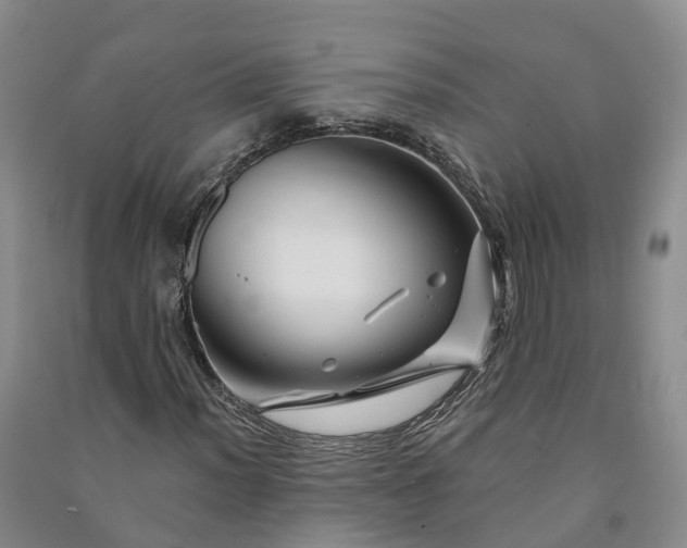 X0000090971012200708161831