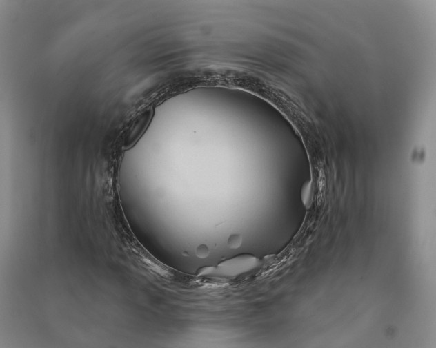 X0000090971013200708161831