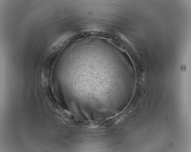 X0000090971014200708161831