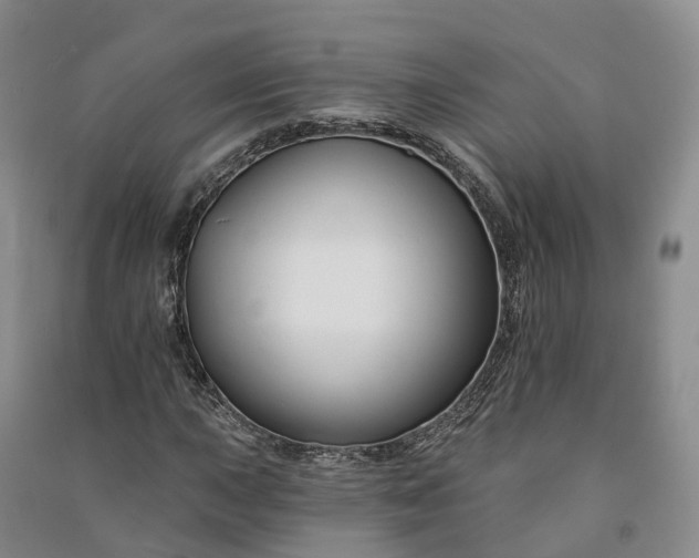 X0000090971015200708161831