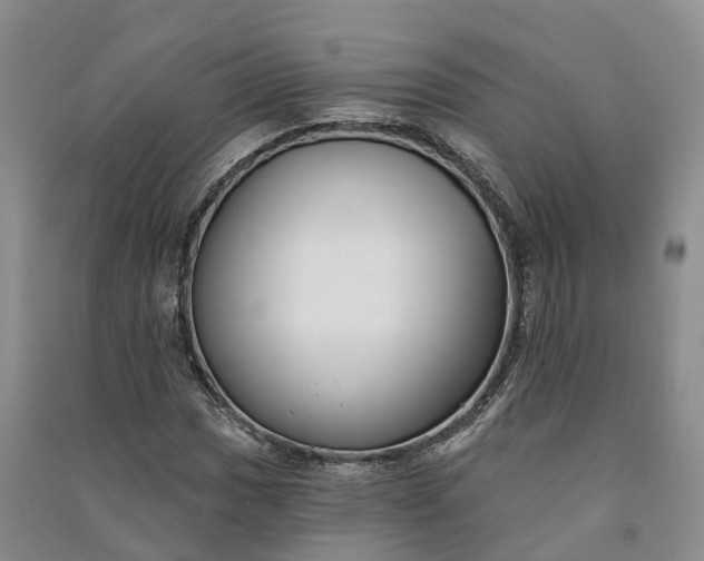 X0000090971017200708161831