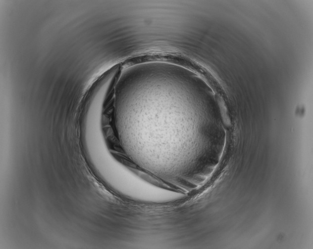 X0000090971018200708161831