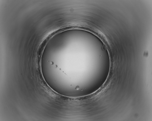 X0000090971019200708161831