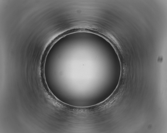 X0000090971020200708161831