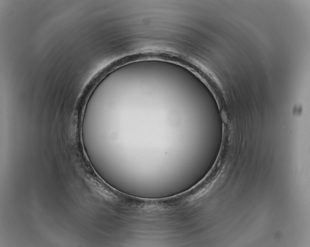 X0000090971021200708161831