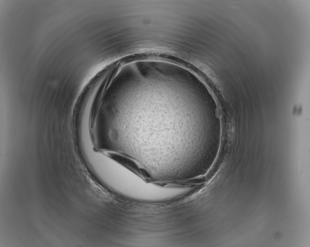 X0000090971022200708161831