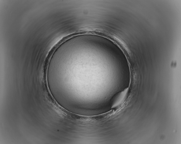 X0000090971023200708161831