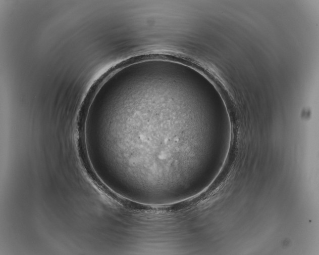 X0000090971024200708161832