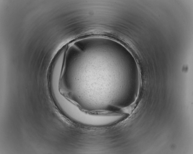 X0000090971026200708161832