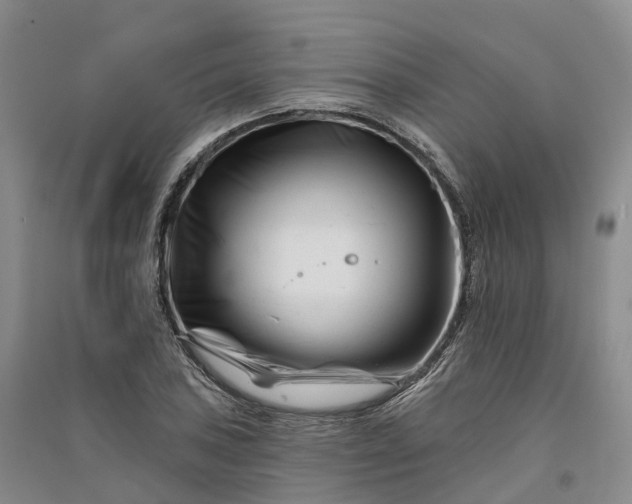 X0000090971027200708161832